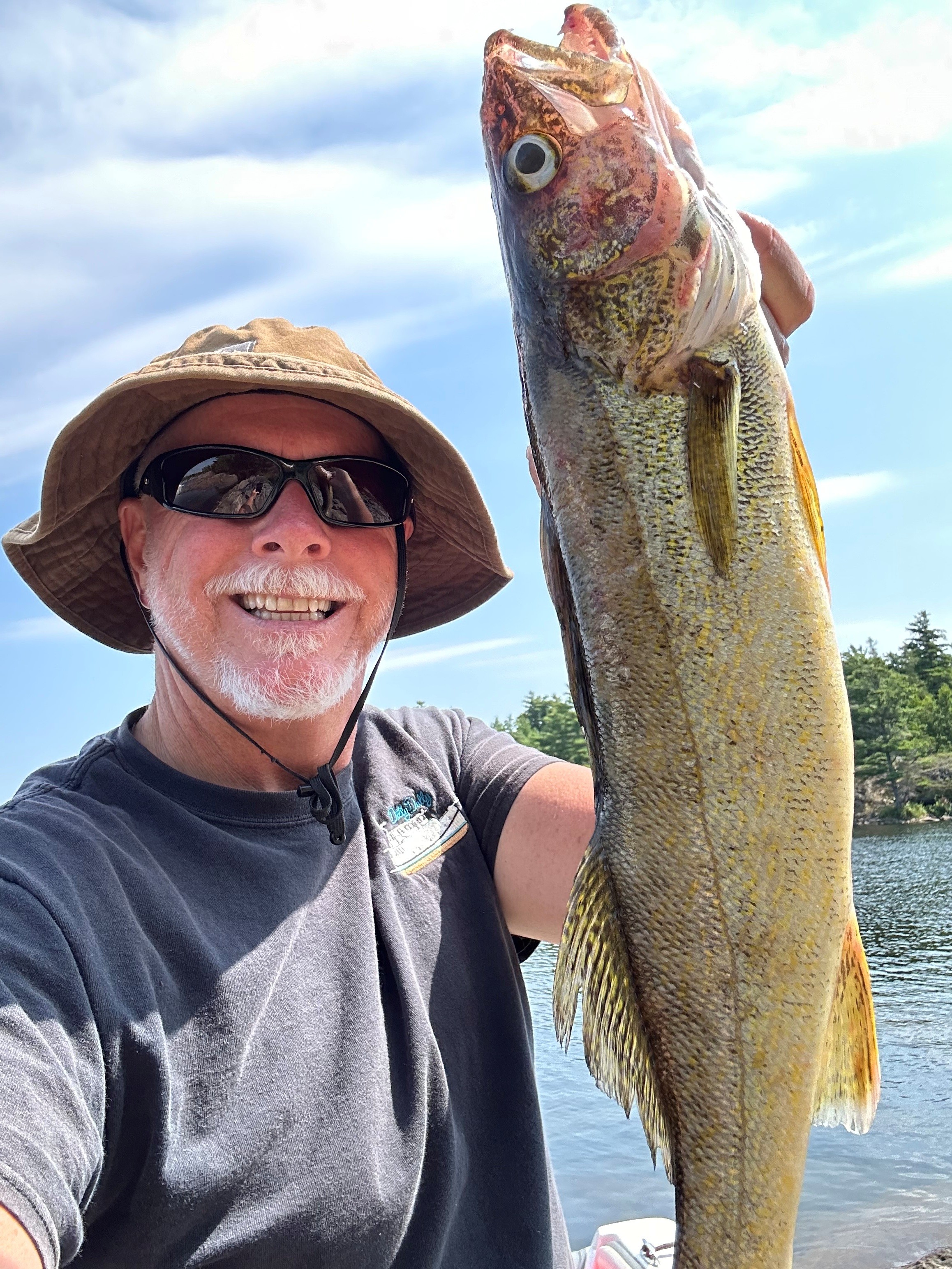 Fox Bay Walleye